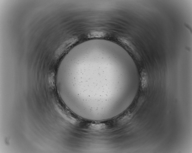 X0000103270455200809122139