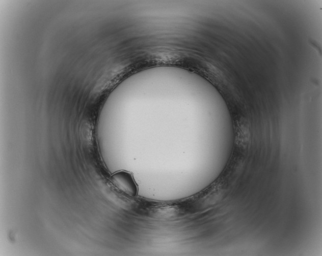X0000103270456200809122139