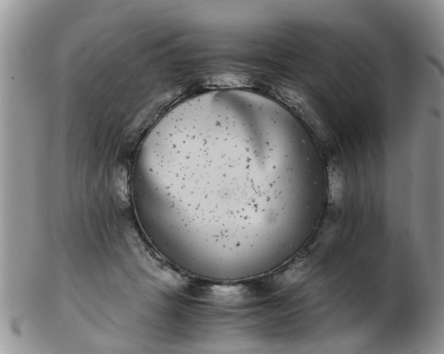 X0000103270457200809122139