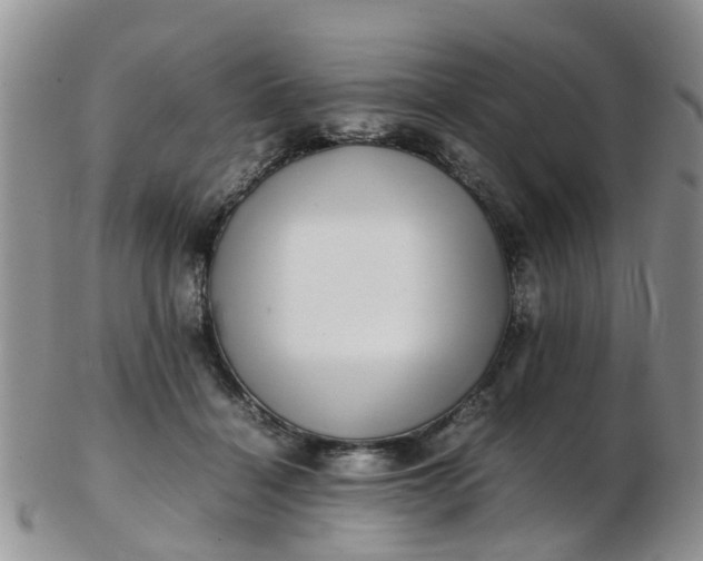 X0000103270460200809122140