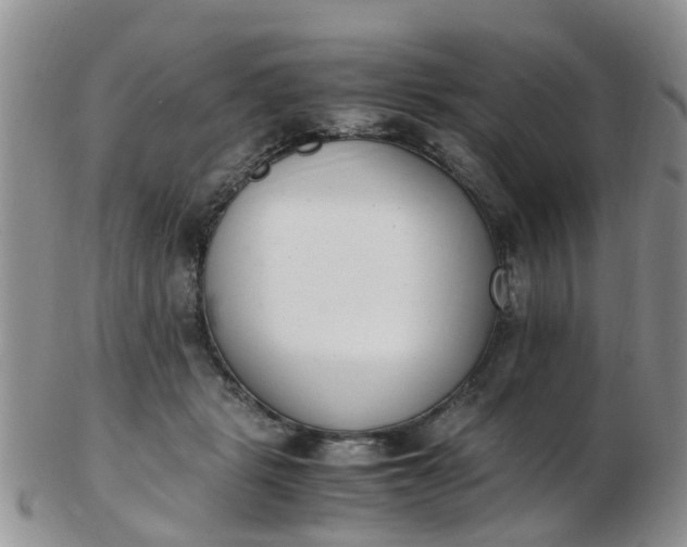 X0000103270461200809122140