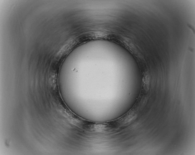 X0000103270462200809122140