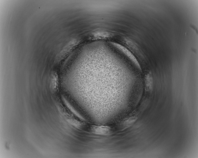 X0000103270463200809122140
