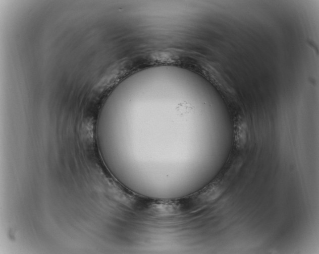 X0000103270466200809122140