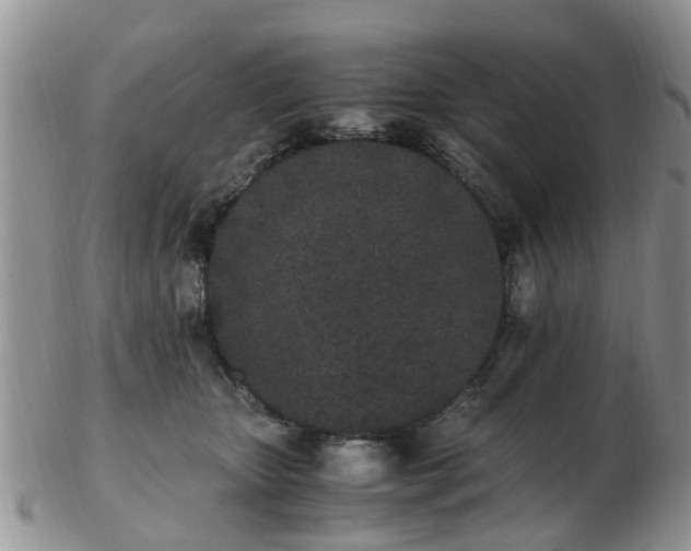 X0000103270467200809122140