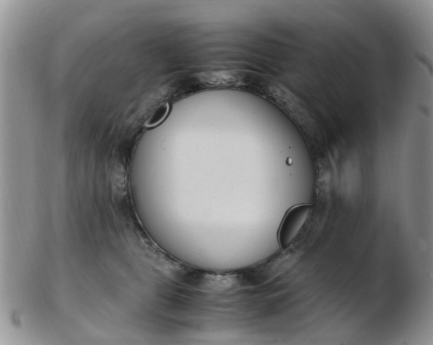X0000103270469200809122140