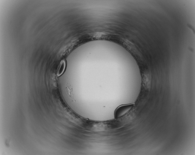 X0000103270470200809122140
