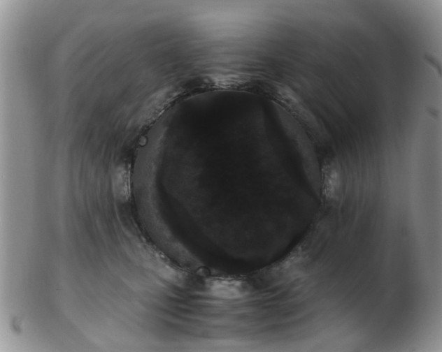 X0000103270471200809122140
