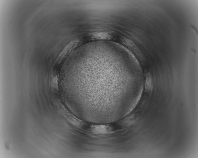 X0000103270473200809122140