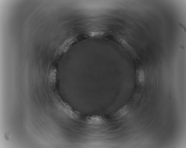 X0000103270475200809122140