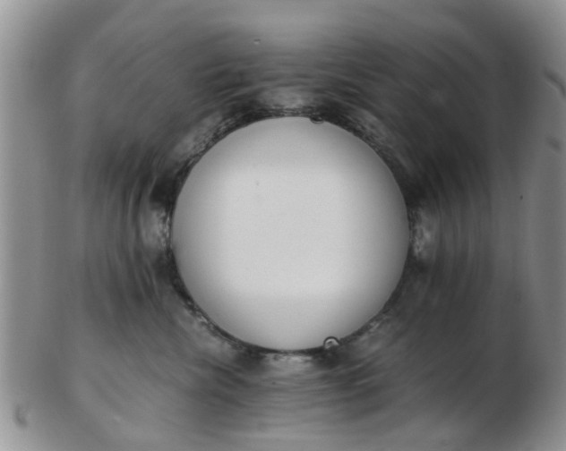 X0000103270476200809122140