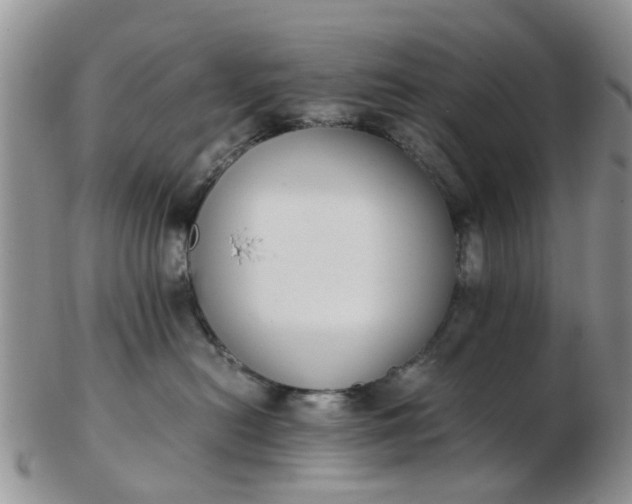 X0000103270478200809122140
