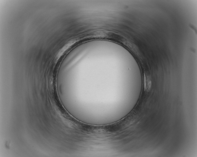 X0000103270483200809122139