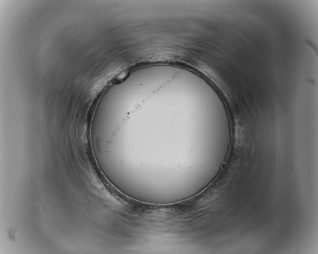 X0000103270485200809122139