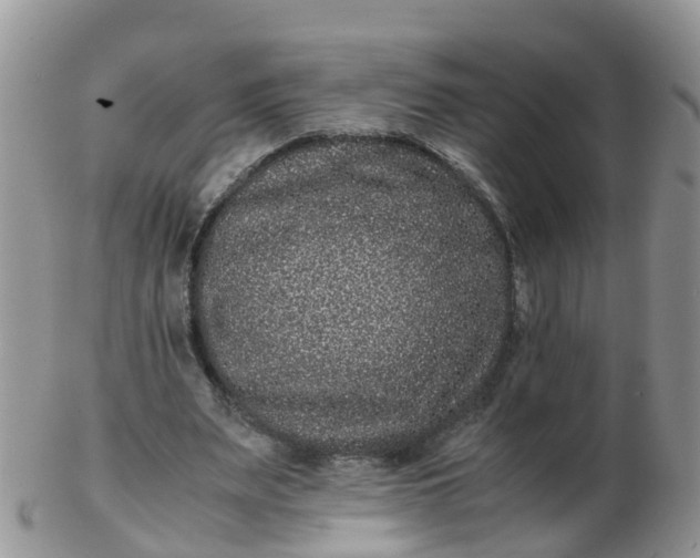 X0000103270487200809122139