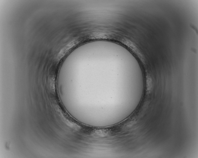 X0000103270489200809122139