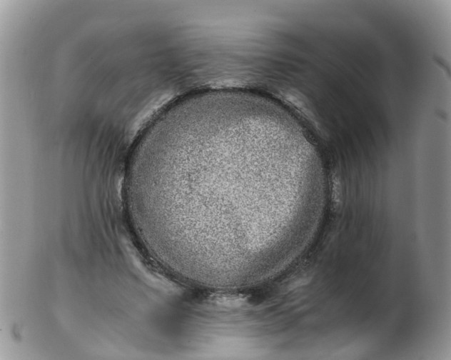 X0000103270491200809122139