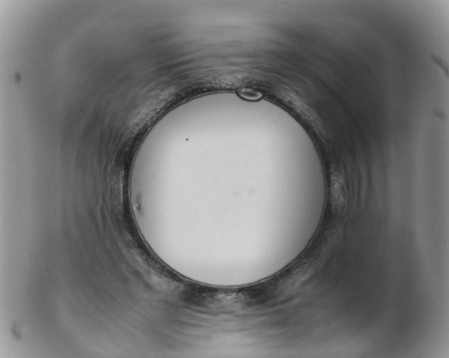 X0000103270493200809122139