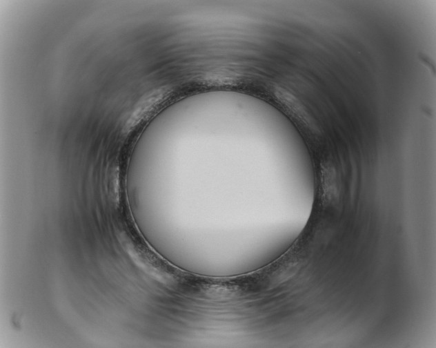 X0000103270494200809122139