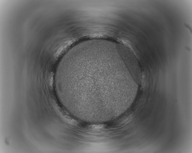 X0000103270495200809122139
