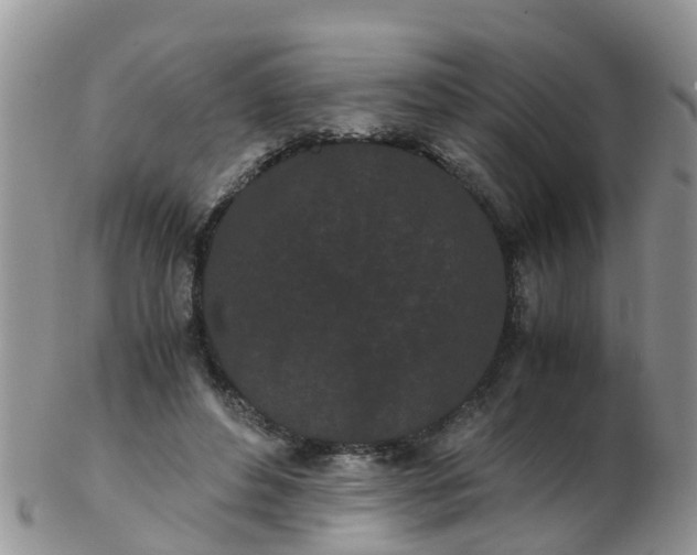 X0000103270496200809122139