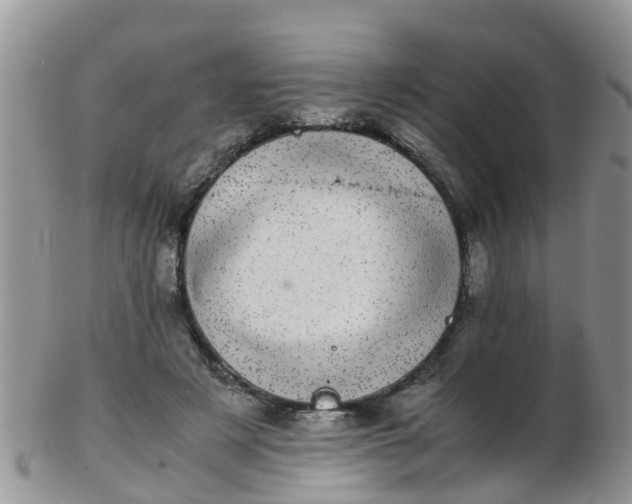 X0000103270497200809122139