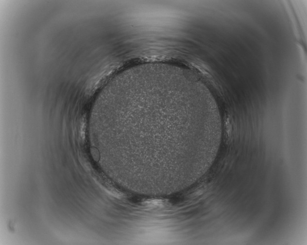 X0000103270499200809122139