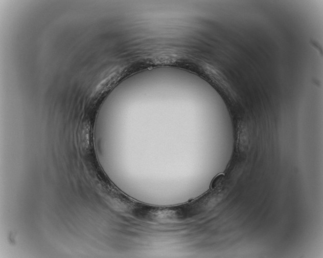 X0000103270501200809122139