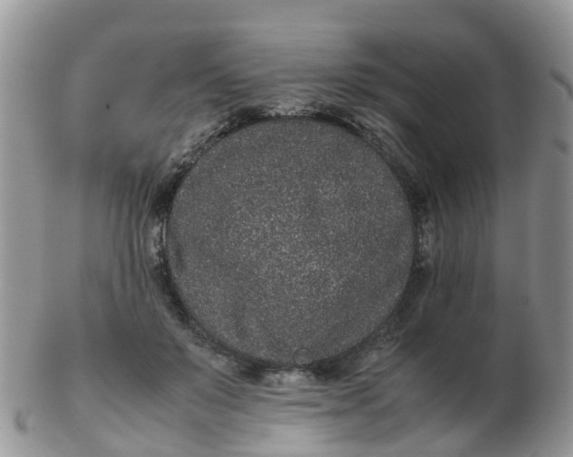 X0000103270503200809122139