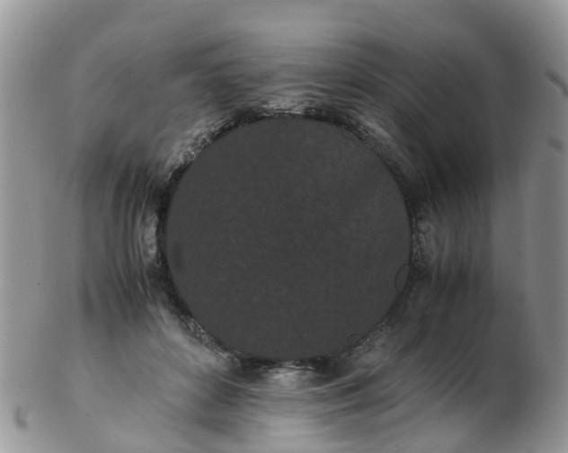 X0000103270504200809122139