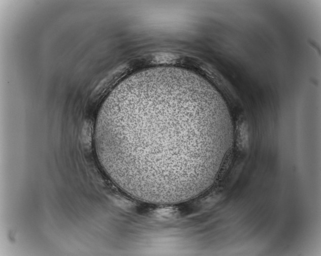 X0000103270505200809122139