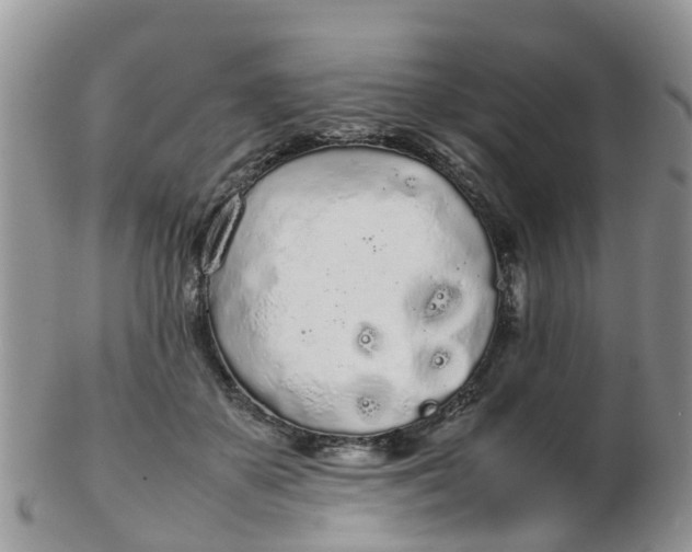X0000103270507200809122139