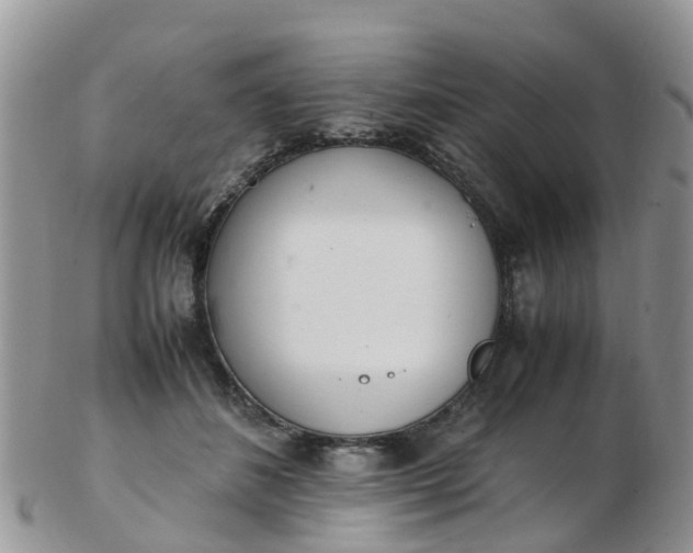 X0000103270508200809122139