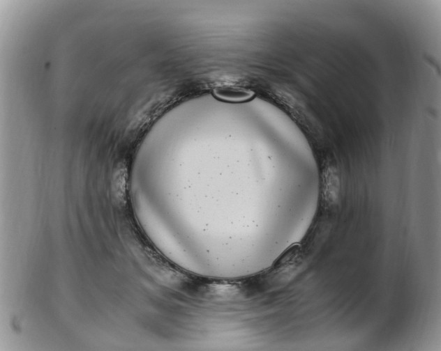 X0000103270509200809122139