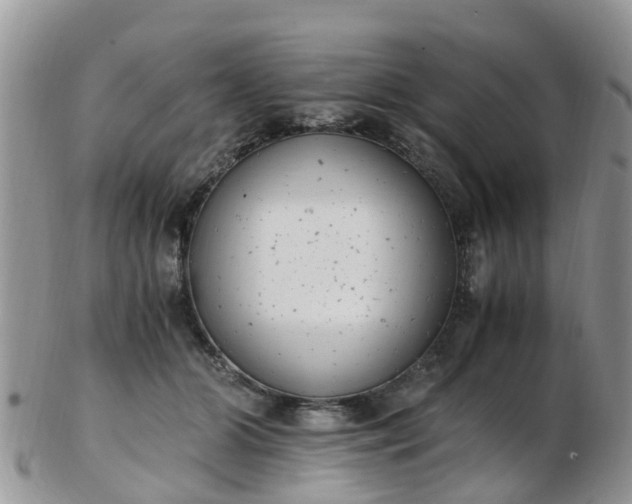 X0000103270510200809122139