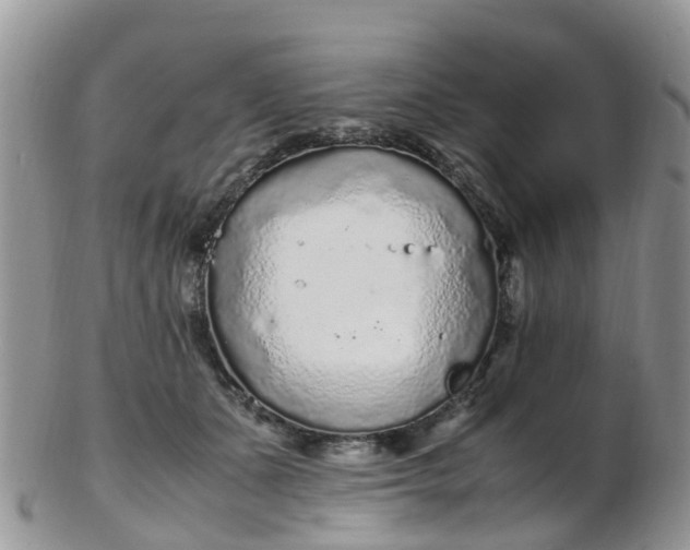 X0000103270511200809122139