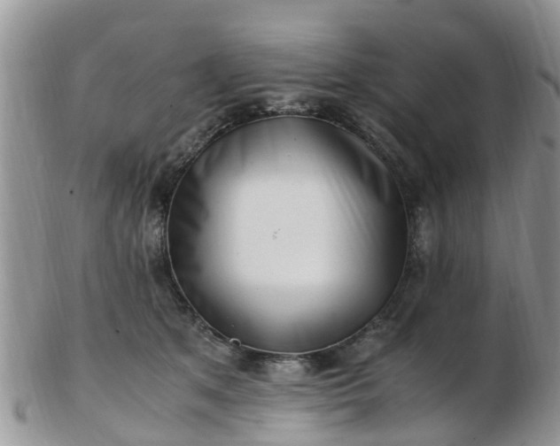 X0000103270513200809122139