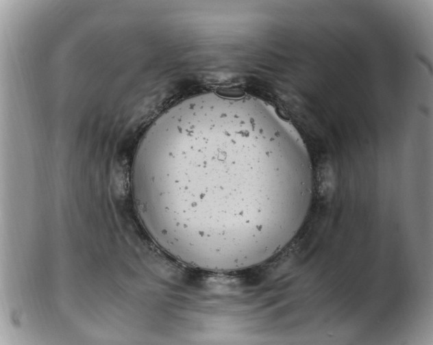 X0000103270515200809122139