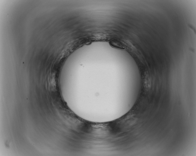 X0000103270516200809122139