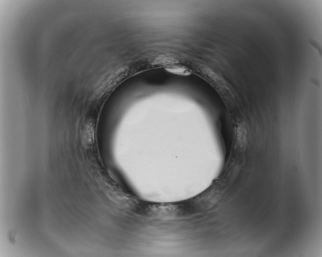 X0000103270517200809122139