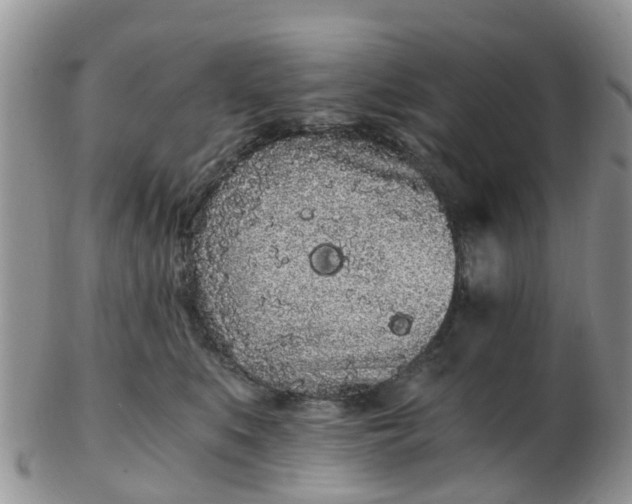 X0000103270519200809122139