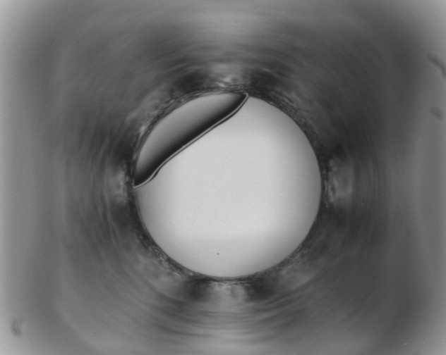 X0000103270520200809122139