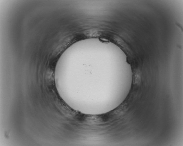 X0000103270521200809122139
