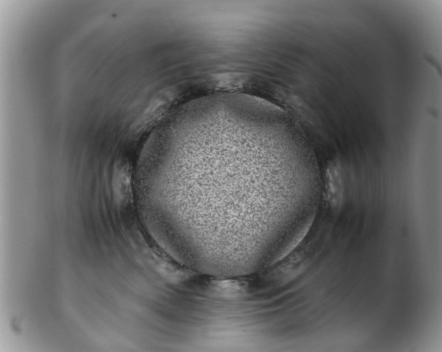 X0000103270522200809122138