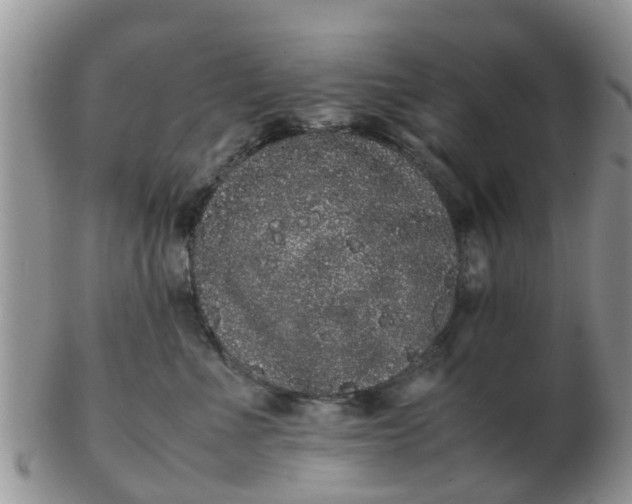 X0000103270523200809122138