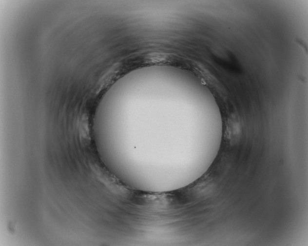 X0000103270524200809122138