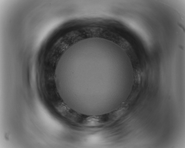 X0000103270526200809122138