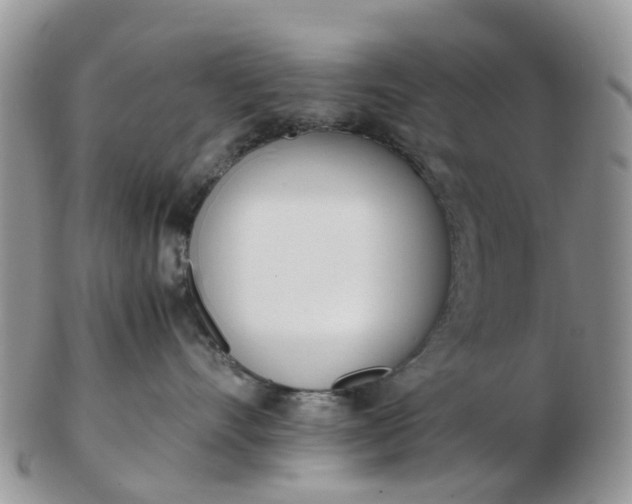 X0000103270528200809122138