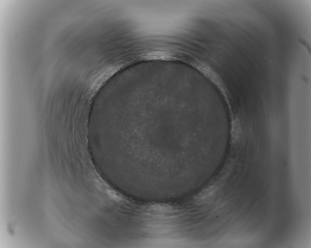 X0000103270529200809122138