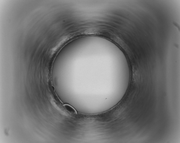 X0000103270530200809122138